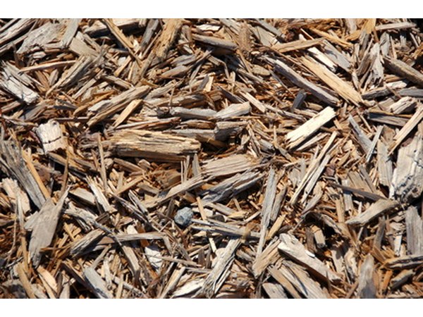 Pine bark mulch