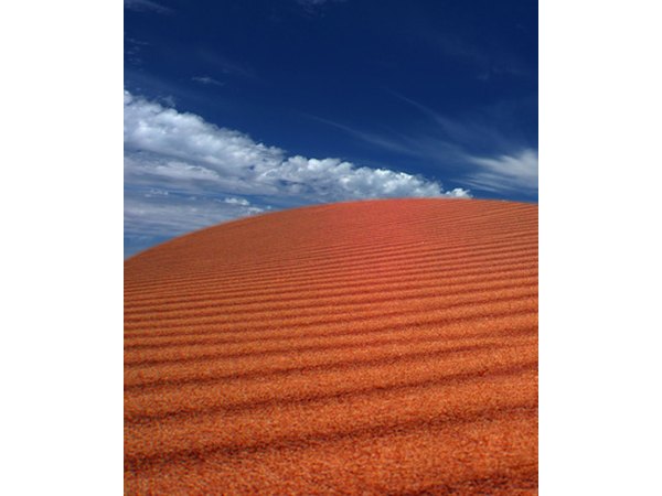 A general wide angle lens offers more flexibility than a fisheye.