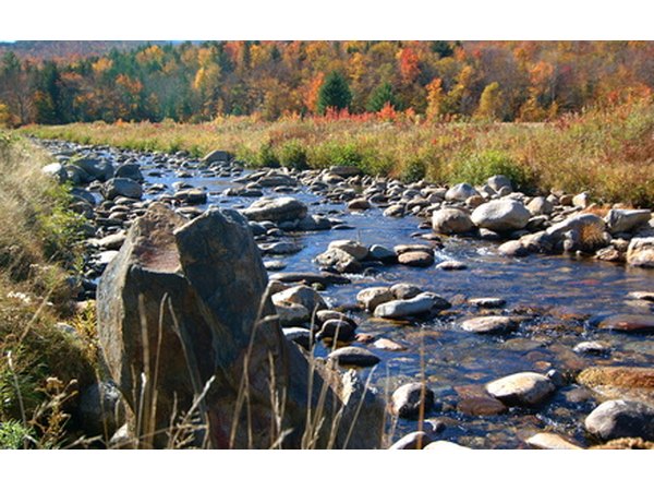 Using a wide-angle lens with a small f-stop will result in great depth of field.