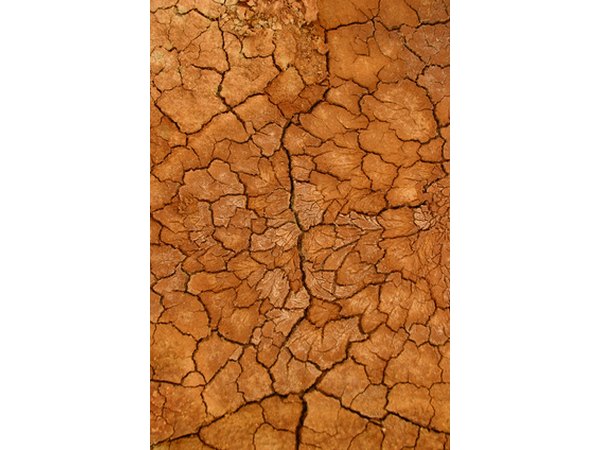 Use a wash test to determine how much gravel, sand, silt and clay are in your soil.