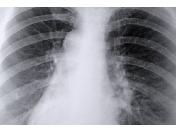 Respiratory System in Ph Balance