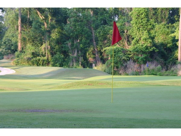 The Masters tournament is probably the most famous invitational tournament.
