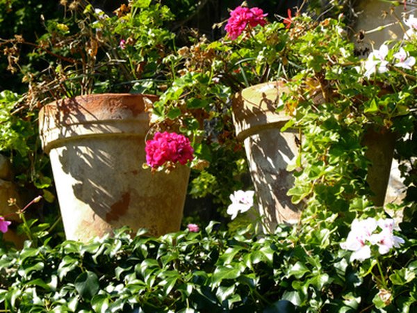 Container gardens are ideal front entrance options for low-maintenance care.
