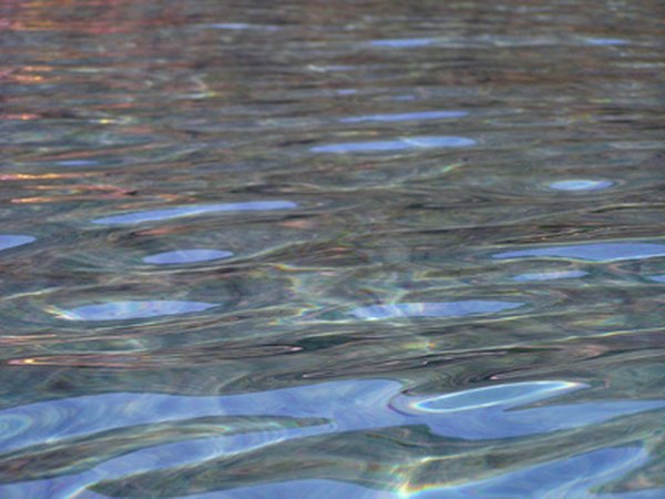 Without swamps and marshes, this river water would not be nearly as clear.