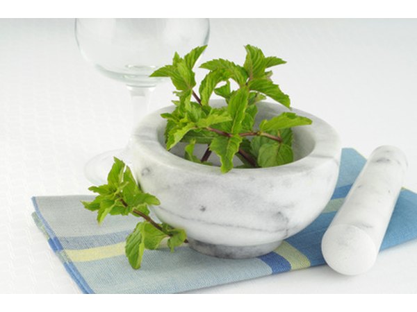 Mint, catnip and orange oils are worth a try in termite control.