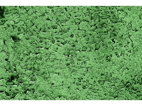 Green Stucco