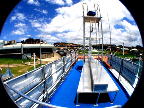 An example of a photo shot with a circular fisheye lens
