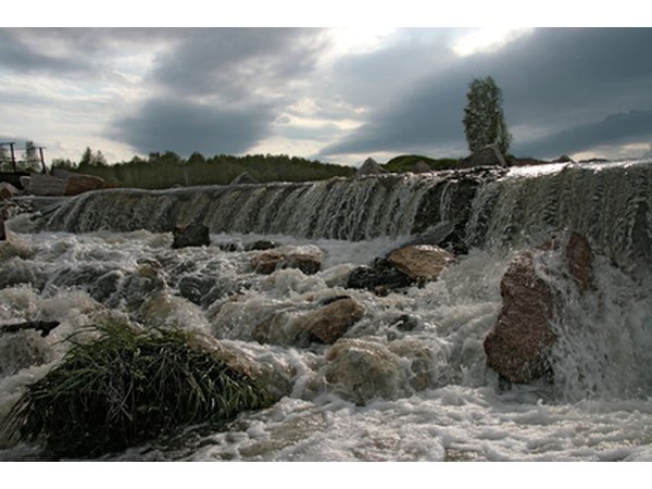 Swamps and marshes prevent flooding.