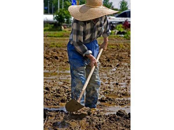 Early minimum wage laws kept employers from overworking laborers.