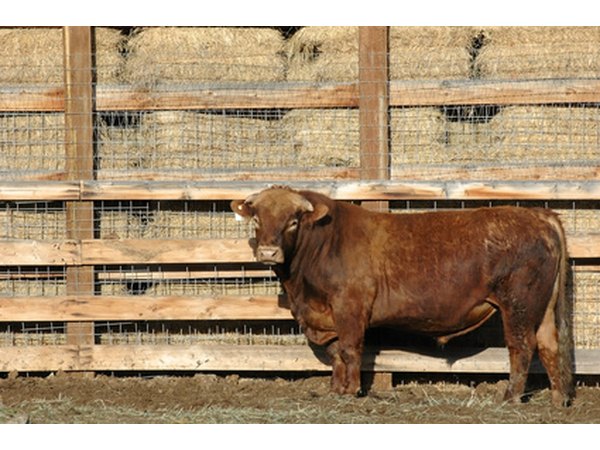 You may need a larger pole barn for large-scale hay storage or cattle than for a tractor or a few horses.