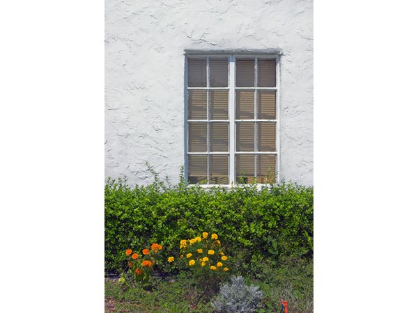 White Stucco