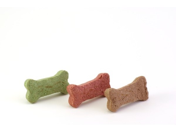 How do eating patterns affect your dog's behavior?