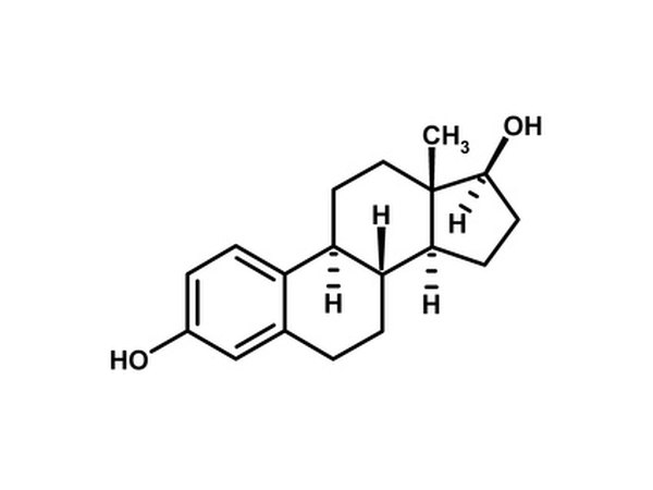 Estradiol is necessary but must be kept in balance for good male health