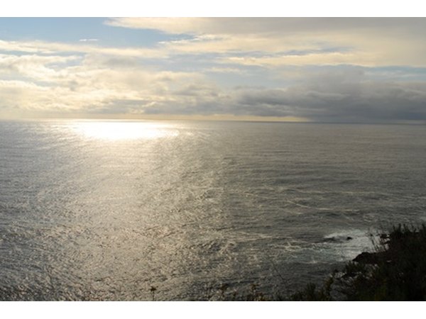 Hawaii’s first immigrants navigated canoes across much of the Pacific Ocean.