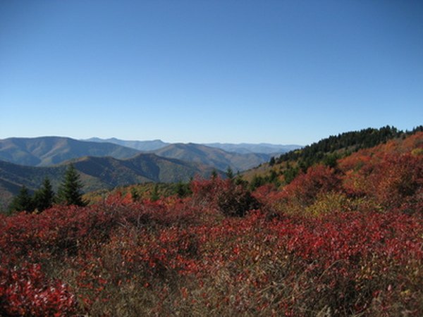 Donna Fargo was raised in North Carolina.