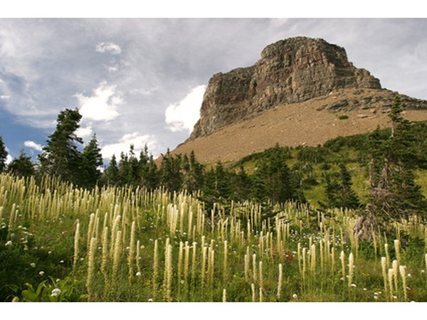 Carefully choosing your viewpoint will contribute to an uncluttered composition.