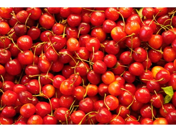 'Montmorency' is the most commonly grown sour cherry variety.