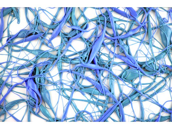Misfiring neurons cause seizures.