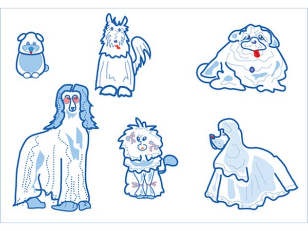 Feeding patterns may differ depending on the type and age of your dog.