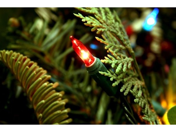 Christmas lights come in a variety of colors.