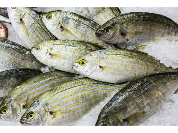 Fresh fish on ice