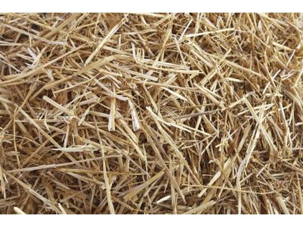 Stack hay
