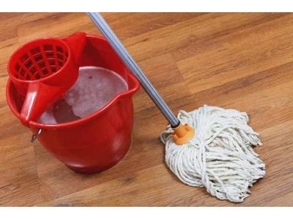 Mop and bucket cleaning wood floor