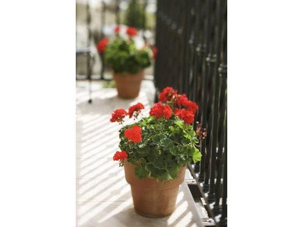 Patio Planters