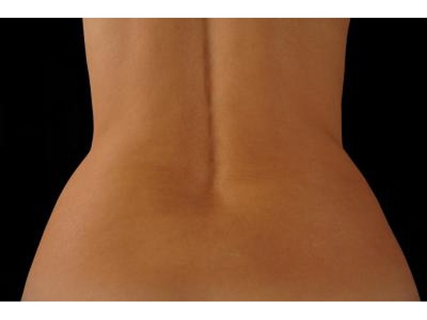 The lumbar region is the last five vertebrate.