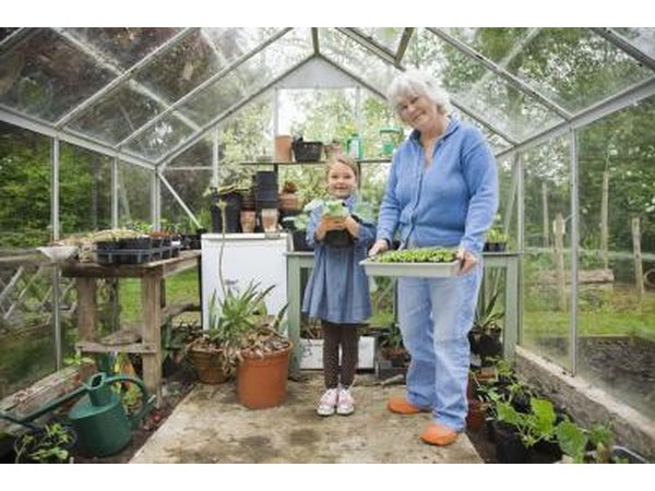 Greenhouse with plants and seeds.
