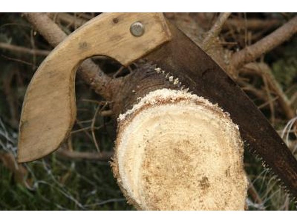 Christmas tree saw