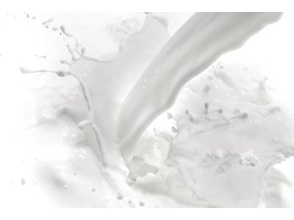 It may be possible that rabies can be transmitted through raw milk.