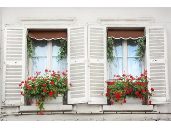 Flower boxes outside a window in Paris, France.