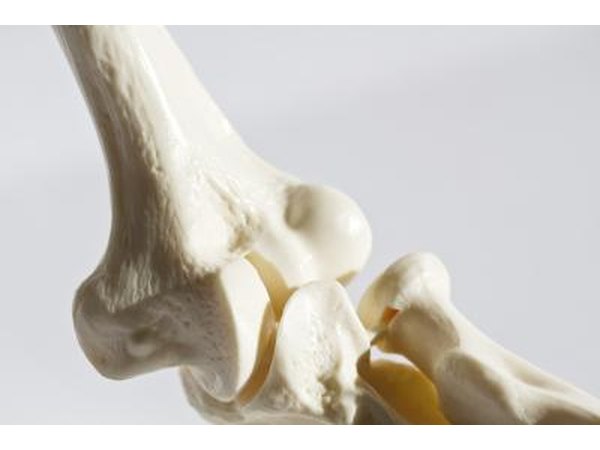 Bone marrow is the fatty tissue inside of your bones.