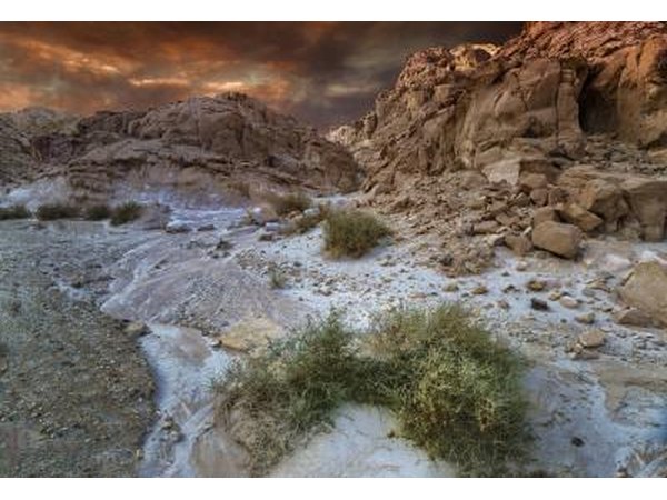 The Negev desert covers more than half of the territory in Israel