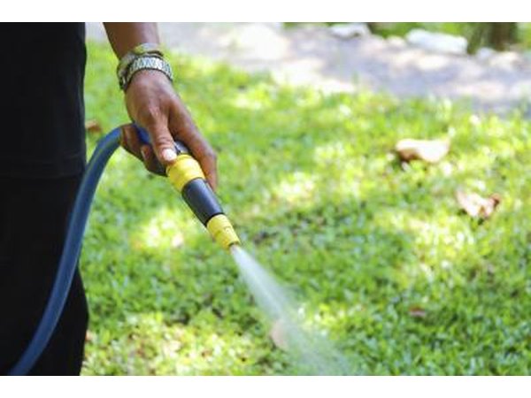 Close-up of hose in hand