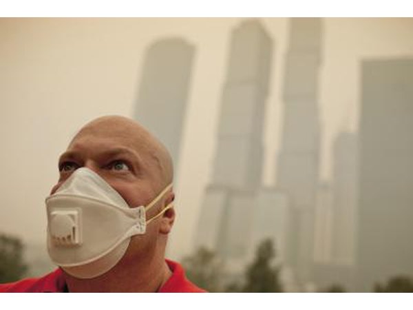 Heatwaves, parasites and smog could increase.