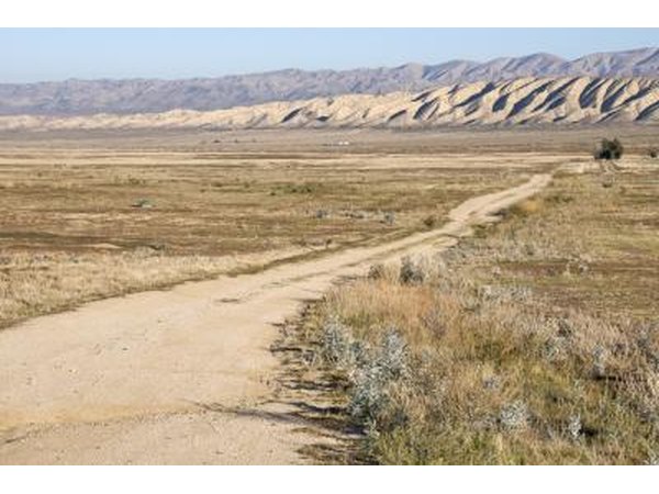 The San Andreas fault
