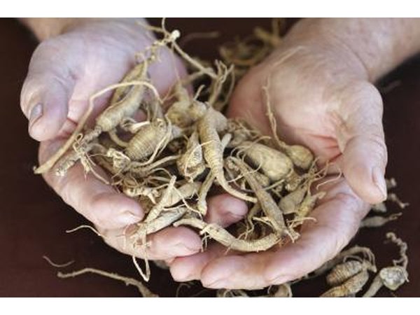 Ginseng