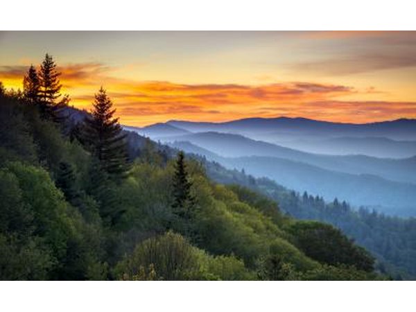 North Carolina.