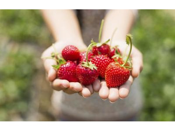 Children under the age of 2 should not eat strawberries.