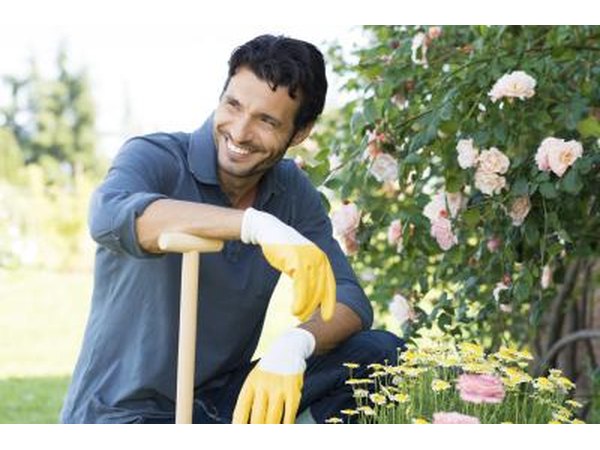 Landscapers plan and plant a combination of flowers and plants.