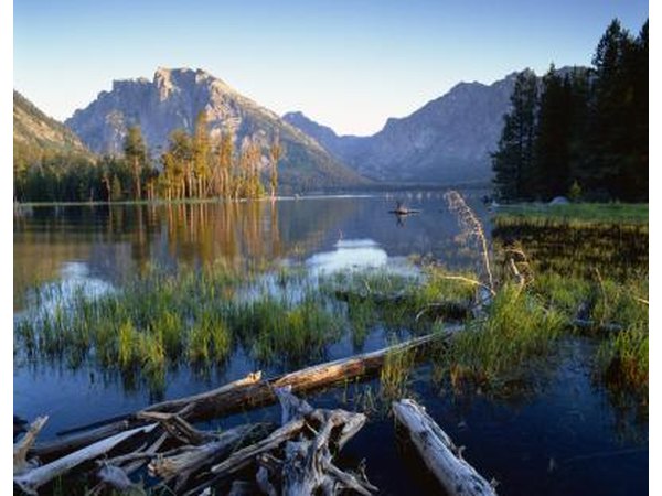 Wyoming.