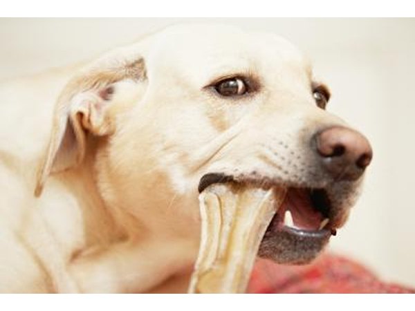 Chew bones have mental and physical benefits to dogs.