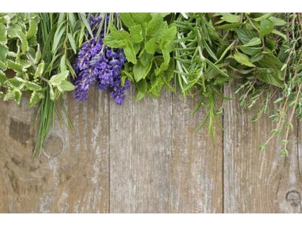 Herbs are known for their anti-viral and anti-fungal properties.