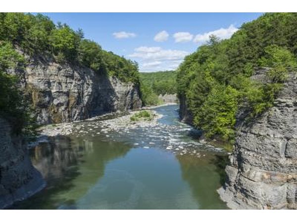 The Genesee river drains into Lake Ontario.