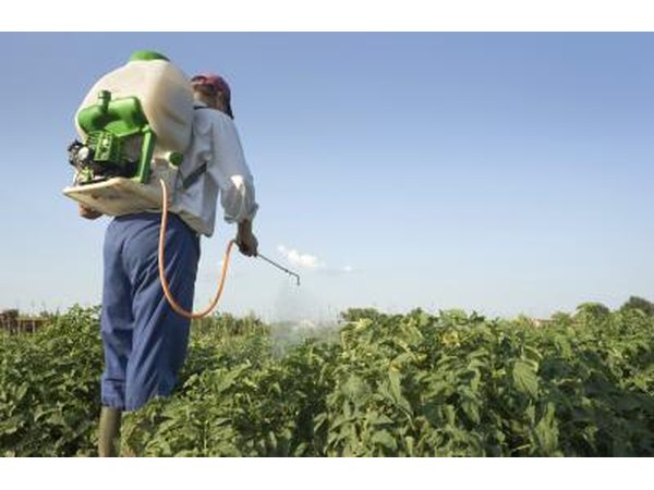 State law may allow you to pay for pest control, and deduct the cost from your rent.