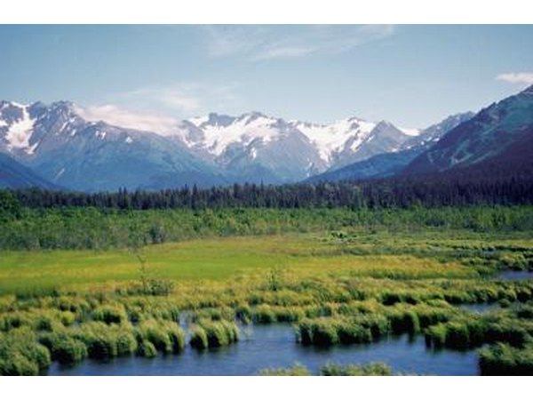 Alaska