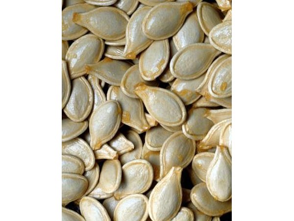 Colored pumpkin seeds are inexpensive game pieces for a fall party.