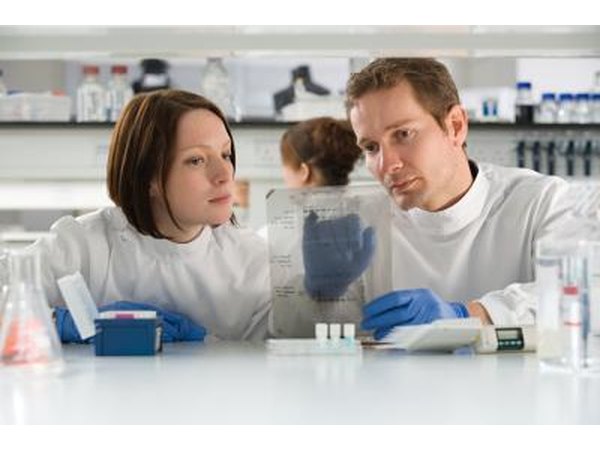 Scientists looking at DNA